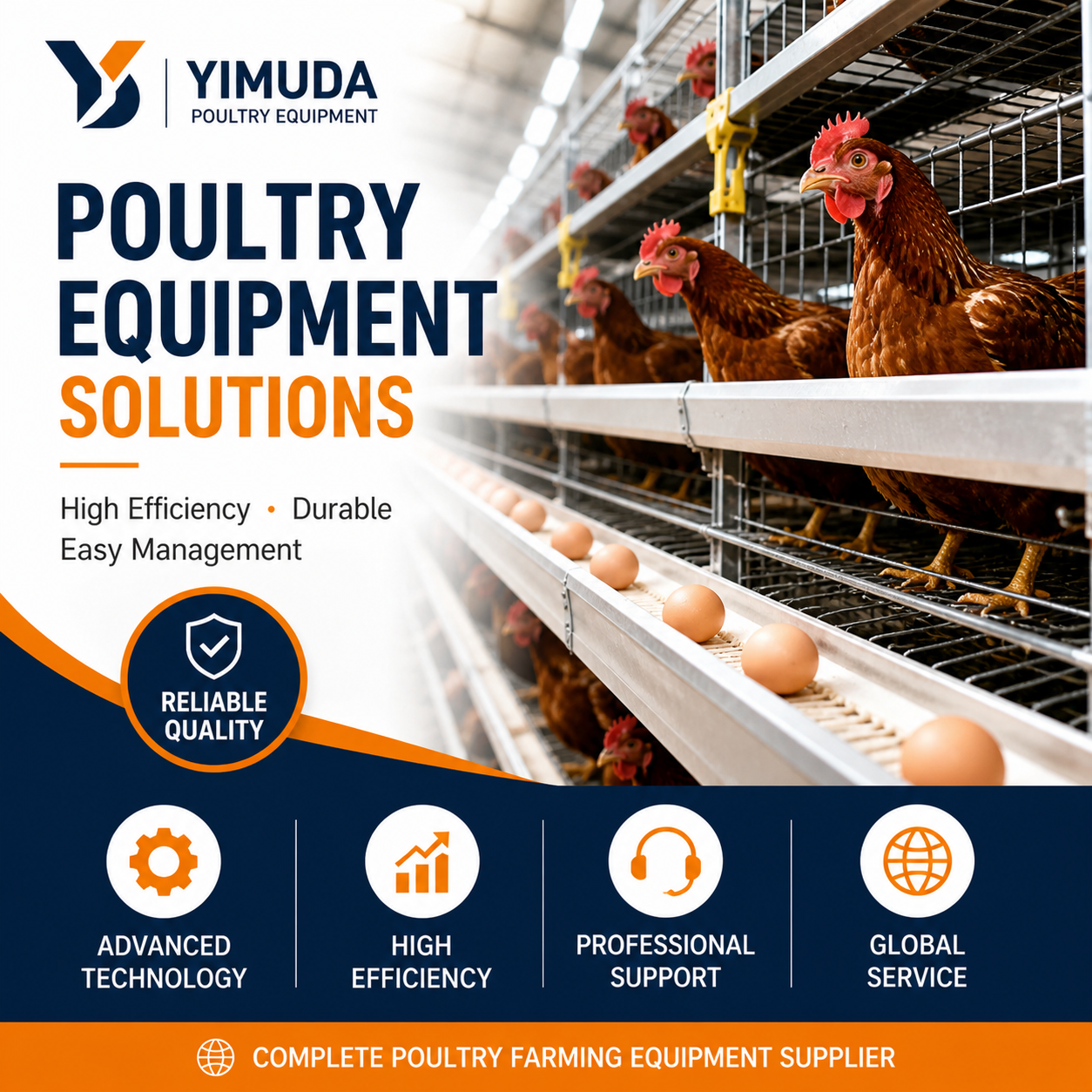 Poultry Farm Cost for 10,000 Chickens: Complete Budget Guide