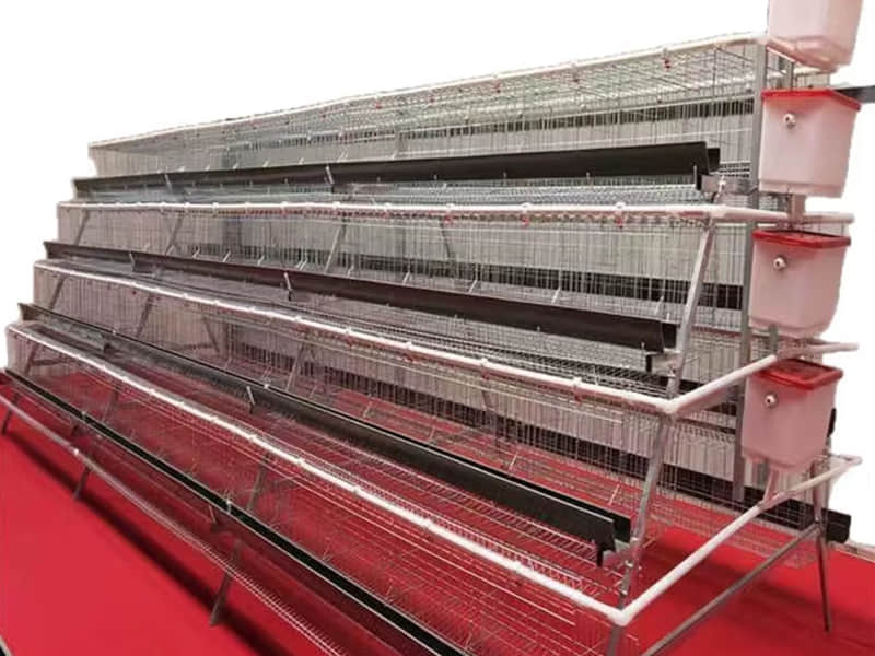 Automatic Feeding System