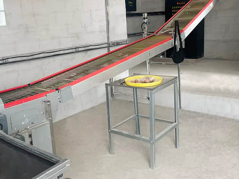Automatic Layer Cage System