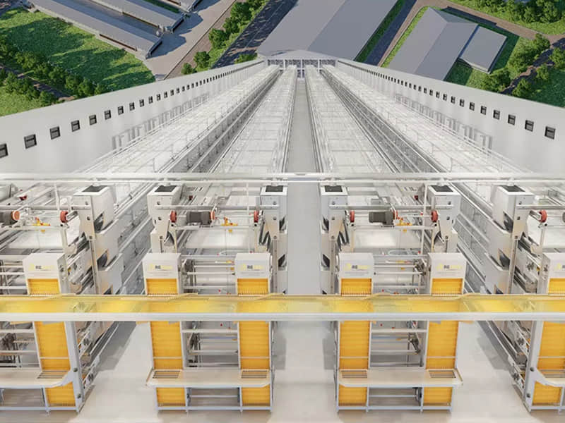 Automatic Layer Cage System Automatic Layer Cage System