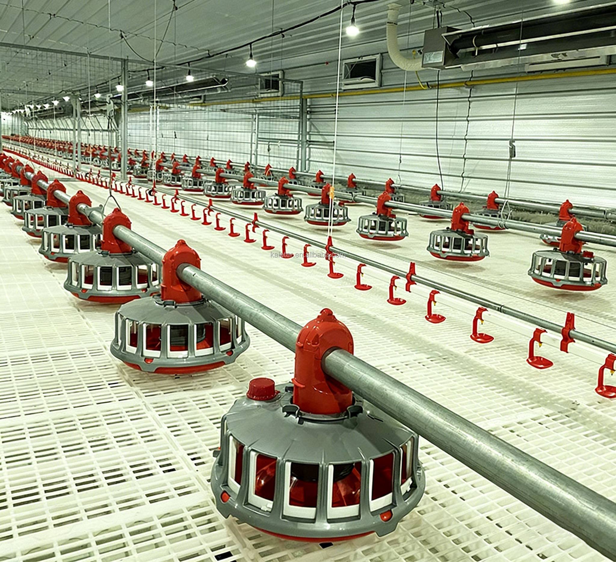 Automatic Poultry Feeding & Drinking System for Broiler Farms