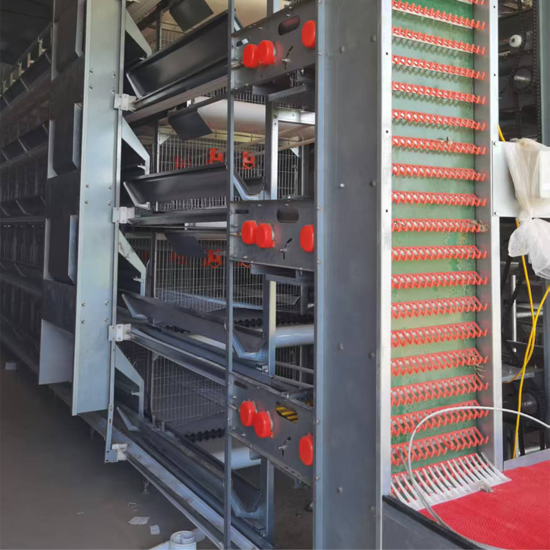 Yimuda Launches Upgraded H-Type Fully Automatic Battery Cage System for Large-Scale Egg Farms Yimuda Launches Upgraded H-Type Fully Automatic Battery Cage System for Large-Scale Egg Farms