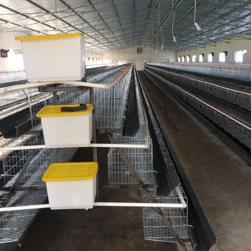 A Type Layer Chicken Cage