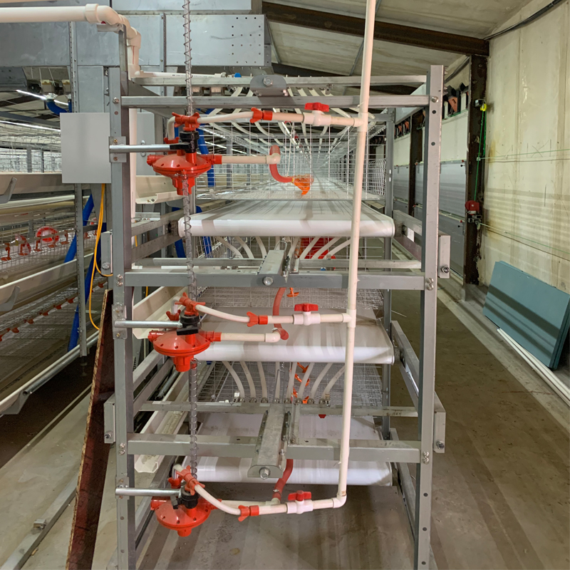 H Type Layer Chicken Cage