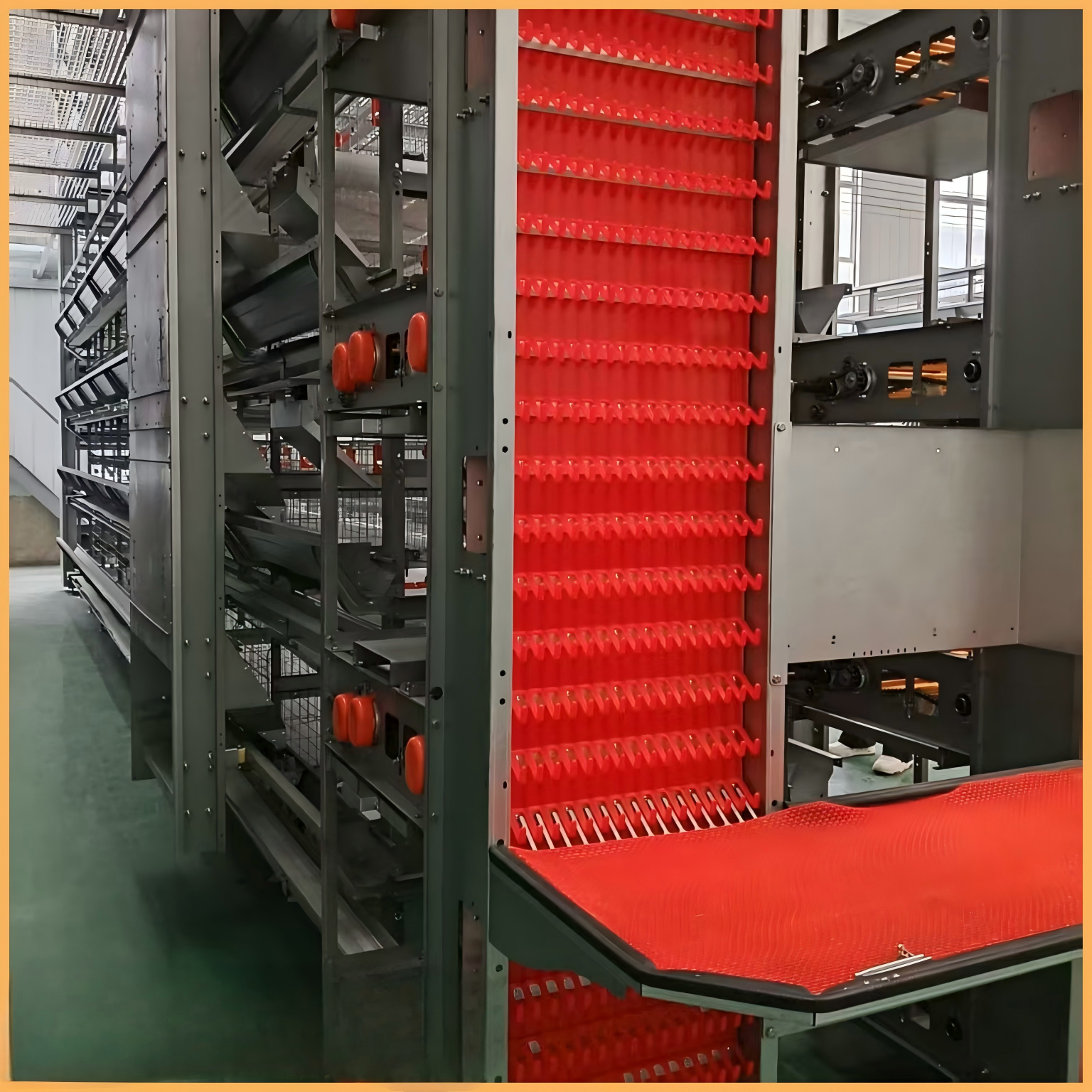 Full Automatic H Type Chicken Cage