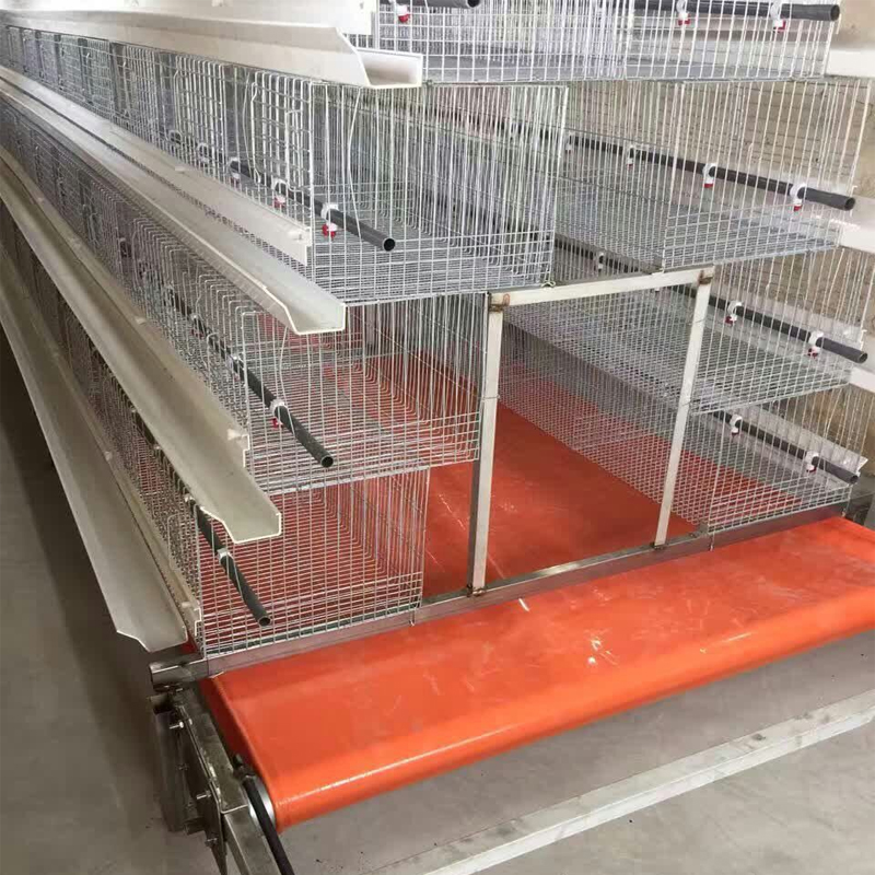 Full Automatic A Type Chicken Cage