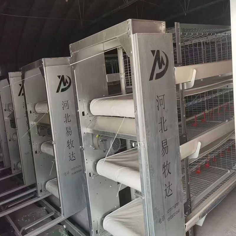 Broiler Chicken Cage