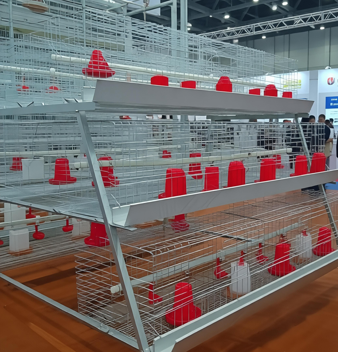 A Type Pullet Chick Cage