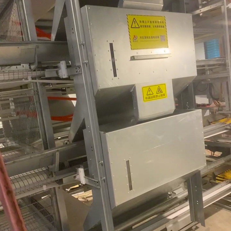 Automatic Poultry Feeder