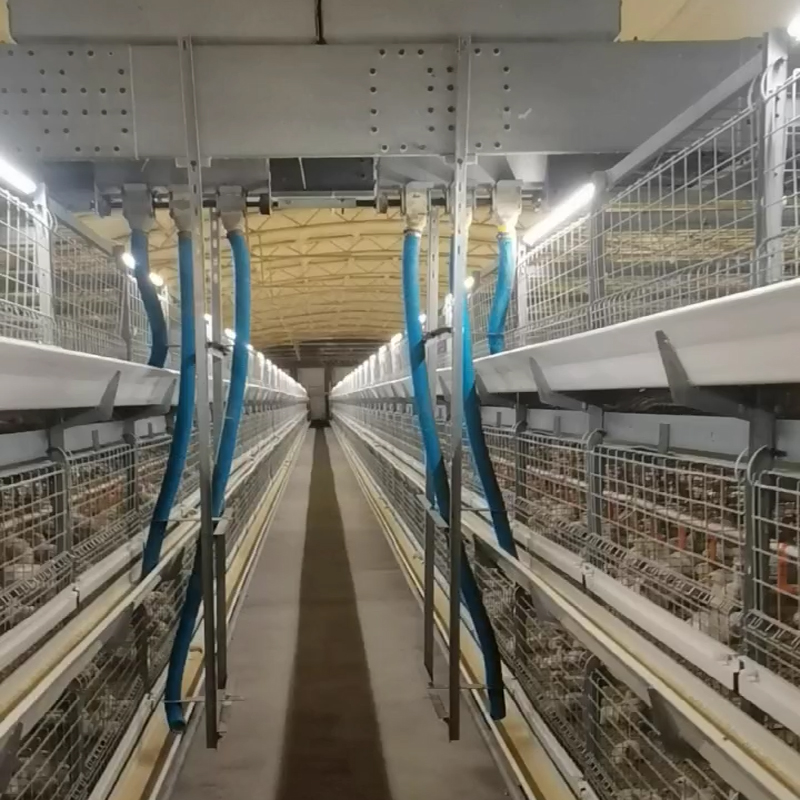 Automatic Poultry Feeder Automatic Poultry Feeder
