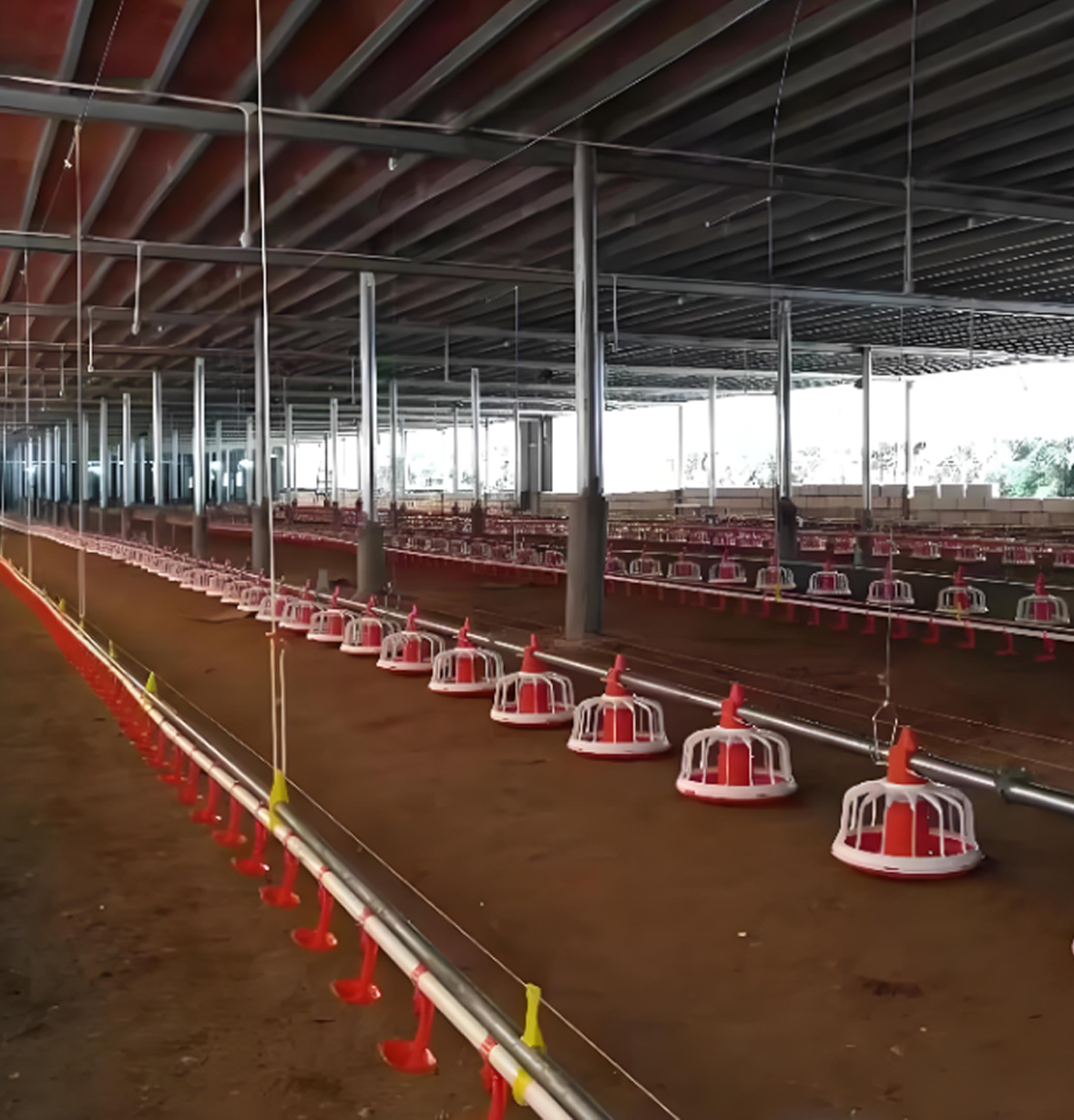 12 Grids Floor Rearing Automatic Feeder Pan