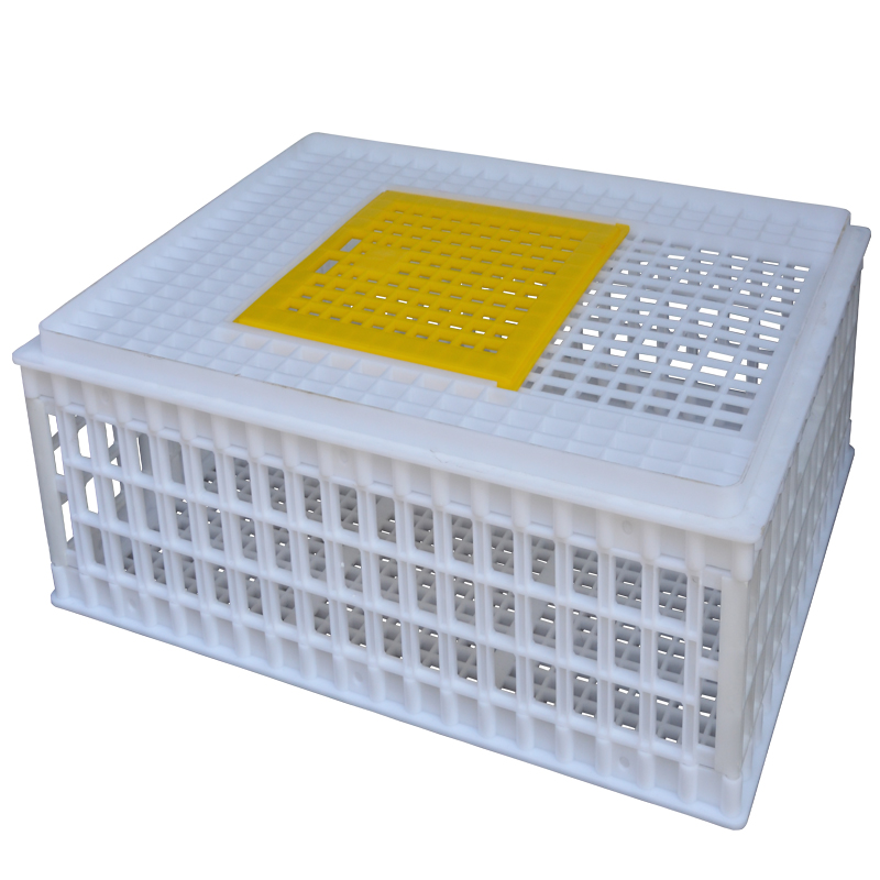 Plastic Chicken Transport Box
