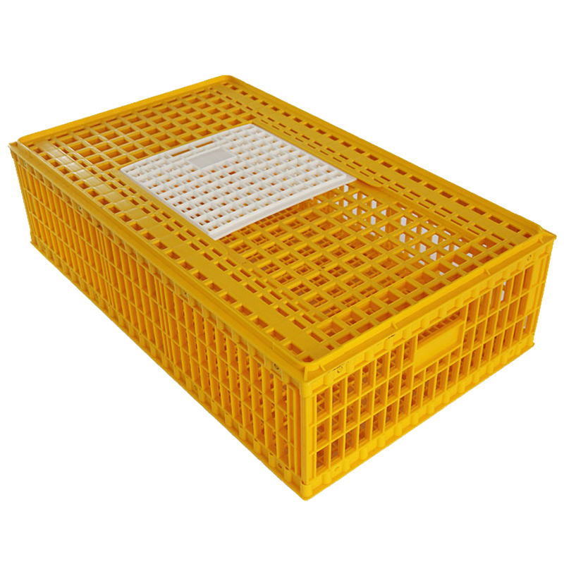 Plastic Chicken Transport Box