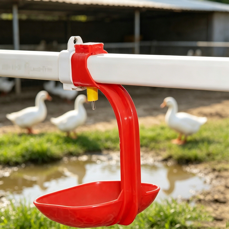 Square Pipe Nipple Drinker with Drip Cup for Ducks & Geese